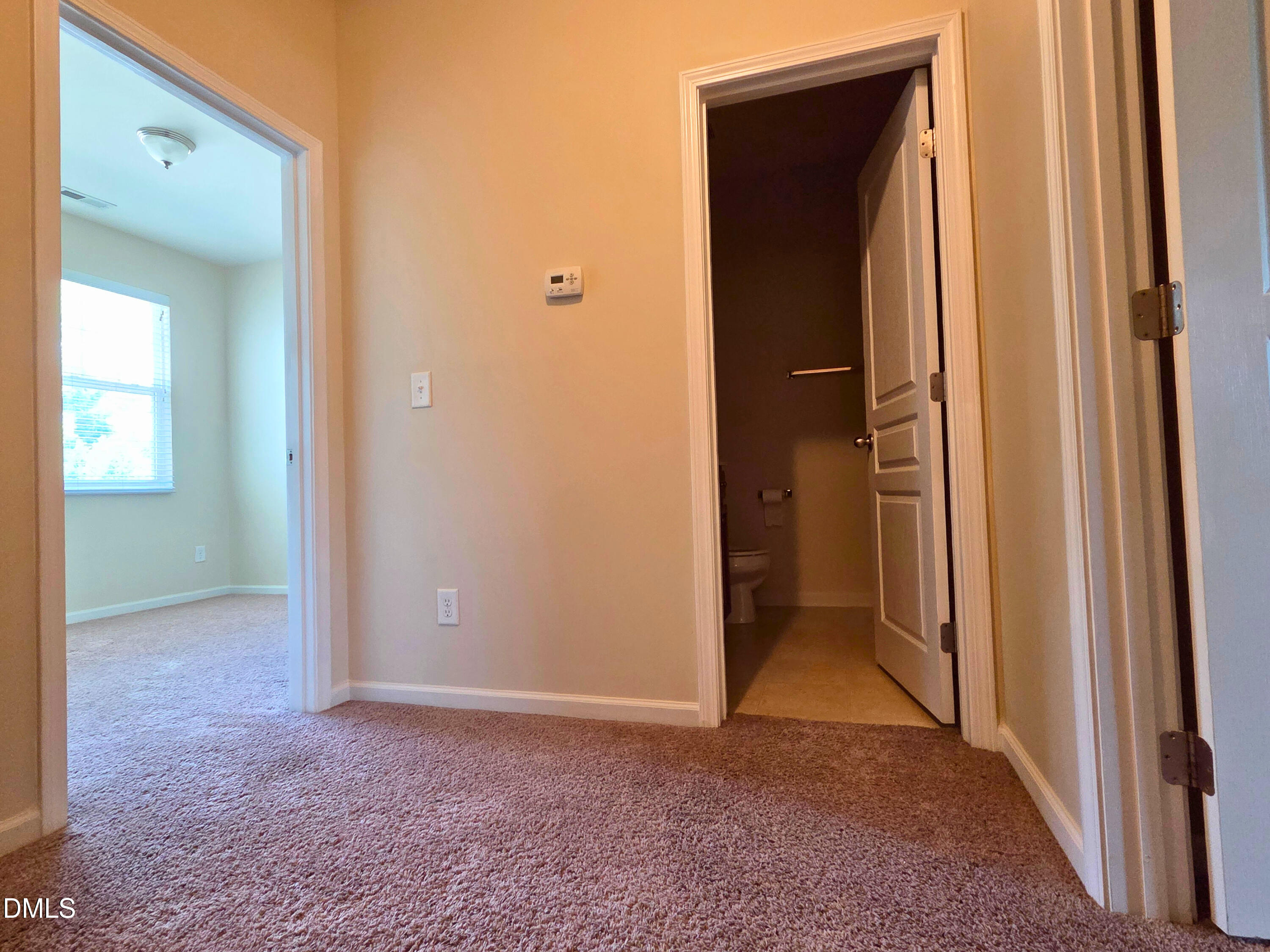 202 Stockton Gorge Property Photo 10