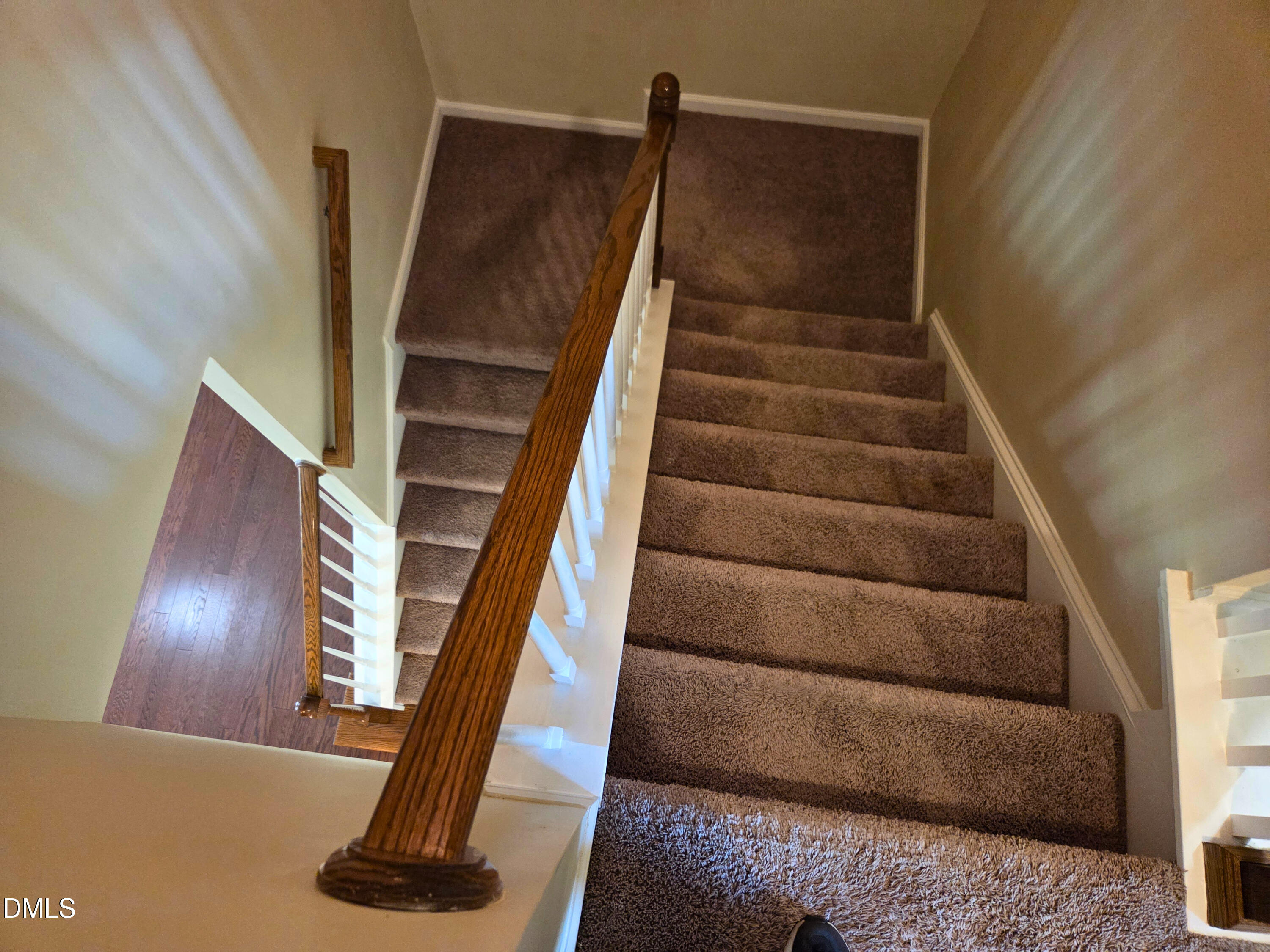 202 Stockton Gorge Property Photo 16