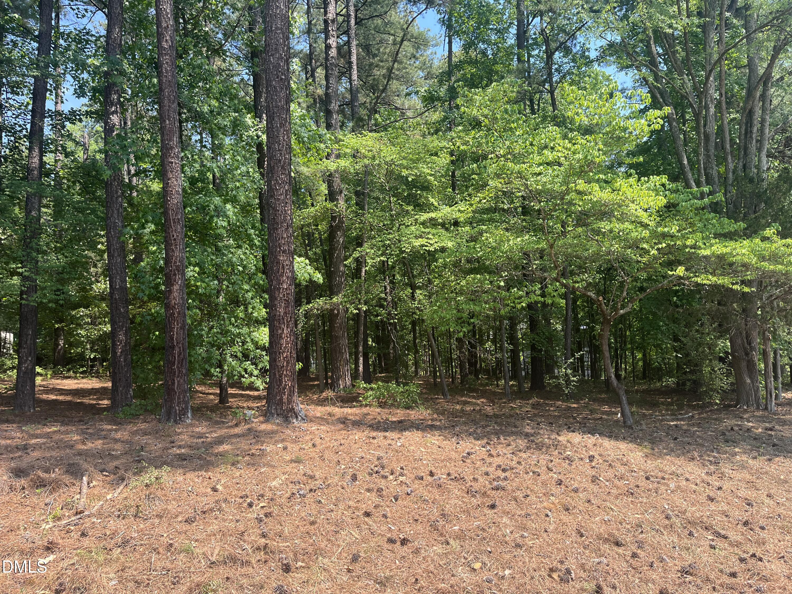 106 Spring Blossom Lane Property Photo 2
