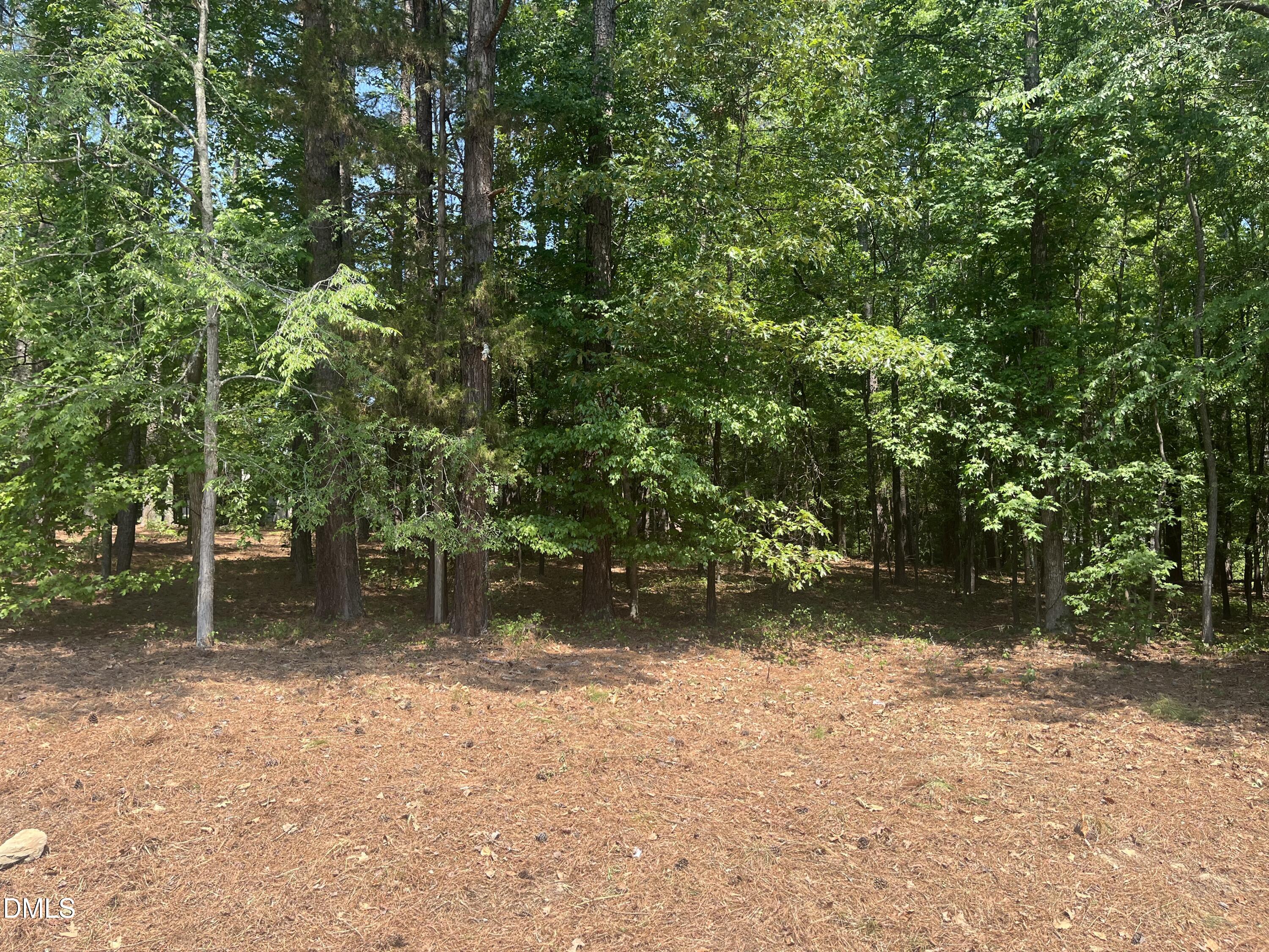 106 Spring Blossom Lane Property Photo 3