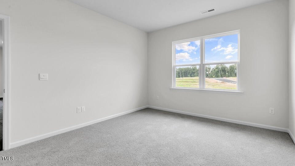 729 Sparkling Pear Drive Property Photo 17