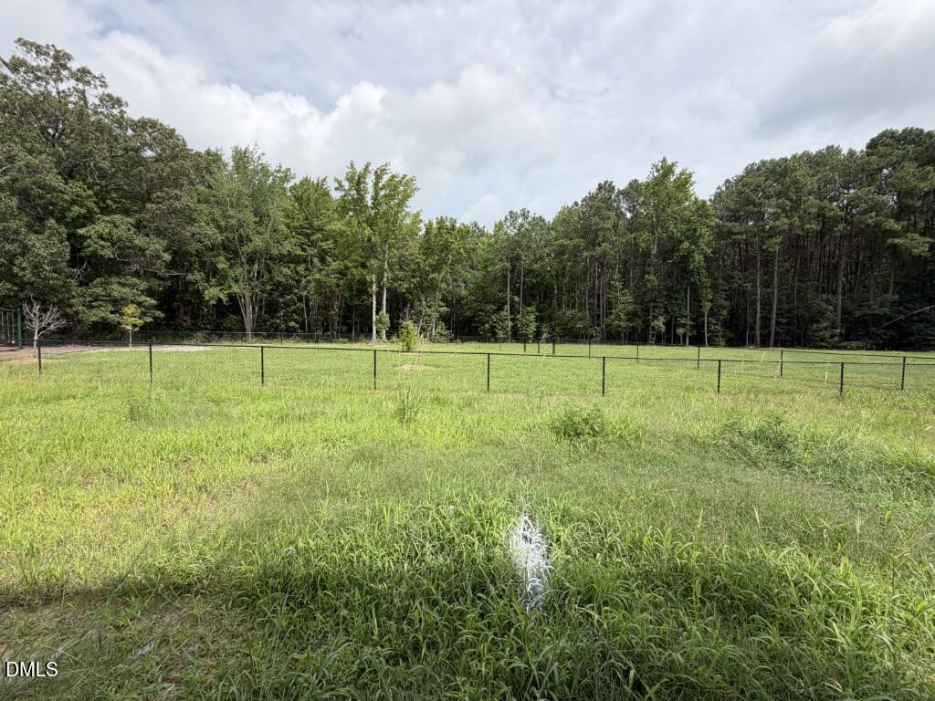 4507 Sweet Williams Lane Property Photo 20
