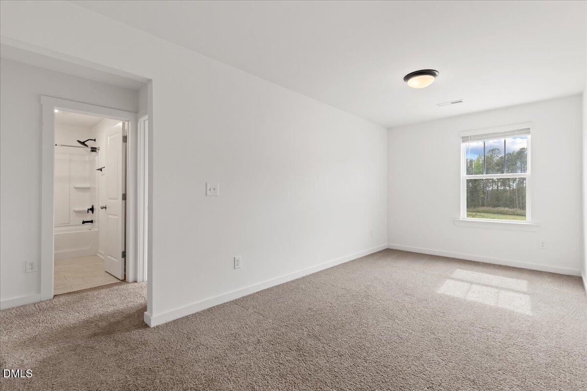 105 S Mule Way Property Photo 25