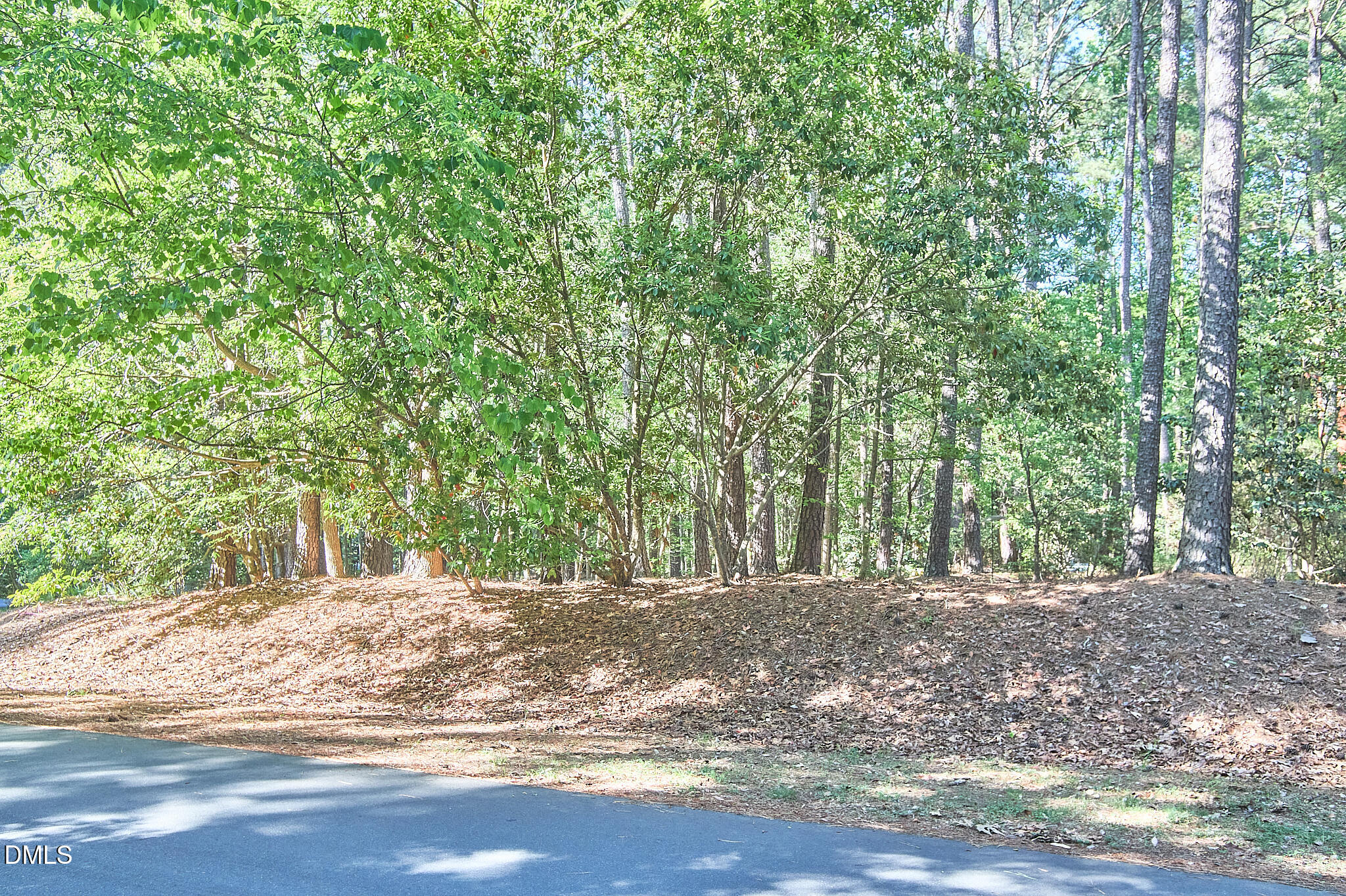 152 Cedar Hills Circle Property Photo 3
