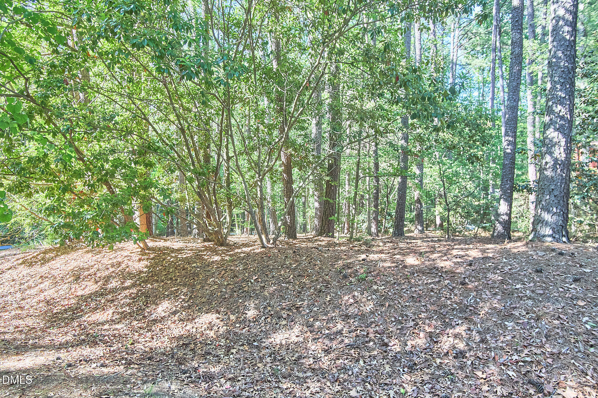 152 Cedar Hills Circle Property Photo 4