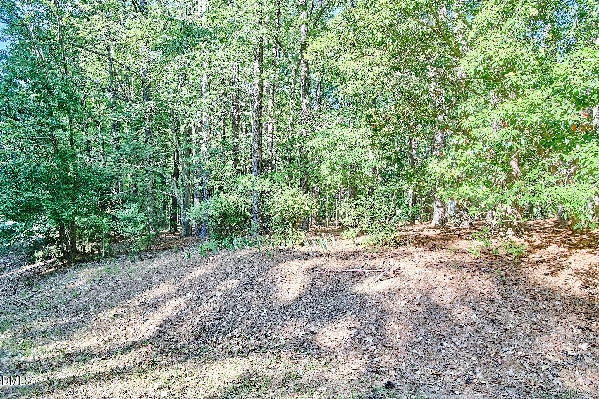 152 Cedar Hills Circle Property Photo 6