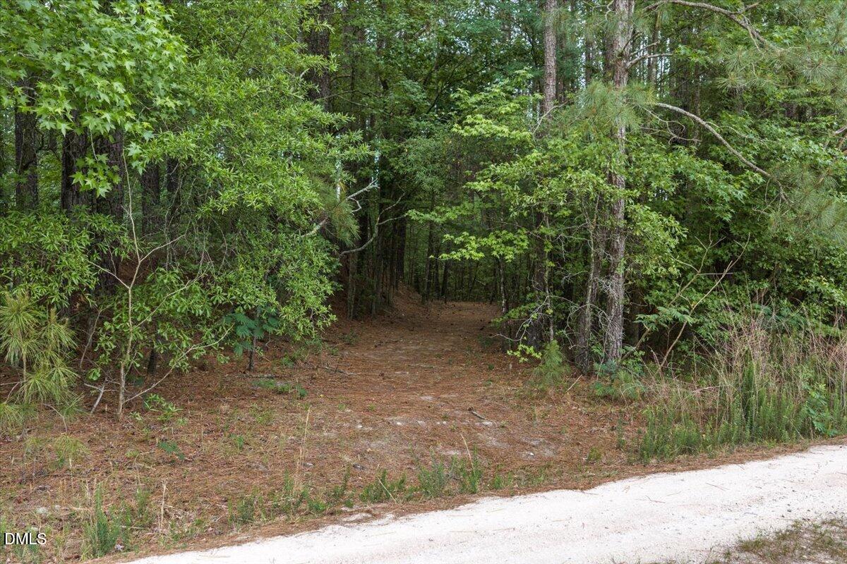 7129 Trappers Court Property Photo 12