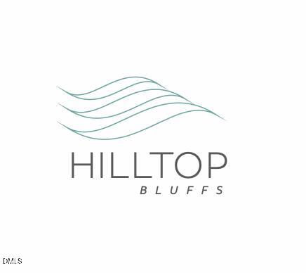 2313 Hilltop Bluffs Court Property Photo 5