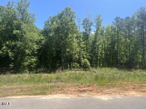 40 Downes Trail Property Photo 3