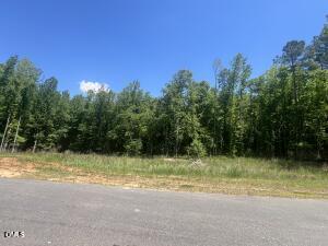 40 Downes Trail Property Photo 4