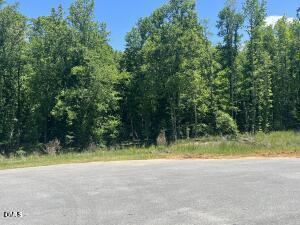 40 Downes Trail Property Photo 6