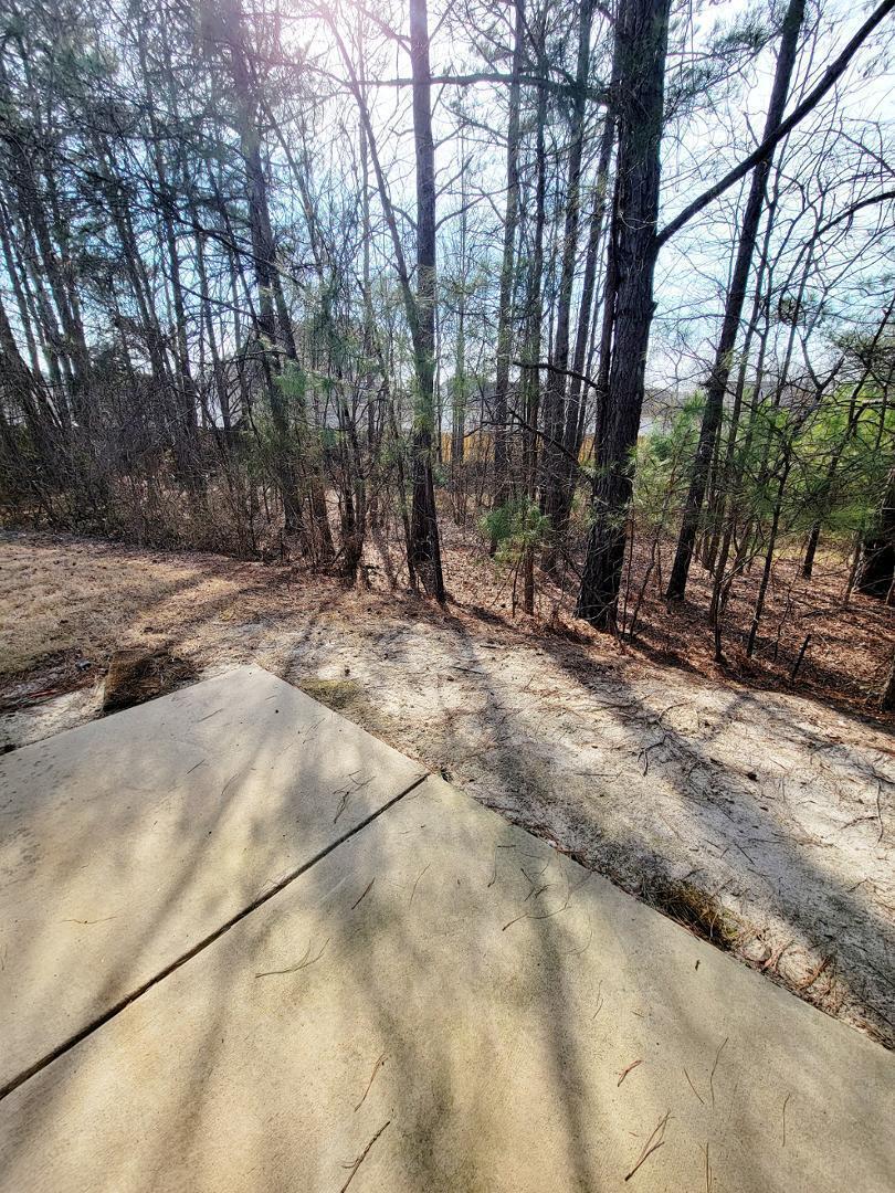 3944 Volkswalk Place Property Photo 44