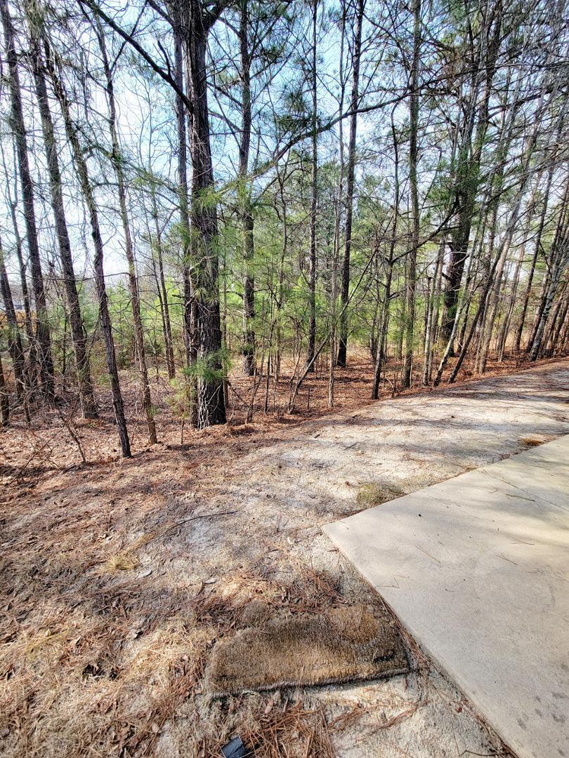 3944 Volkswalk Place Property Photo 45