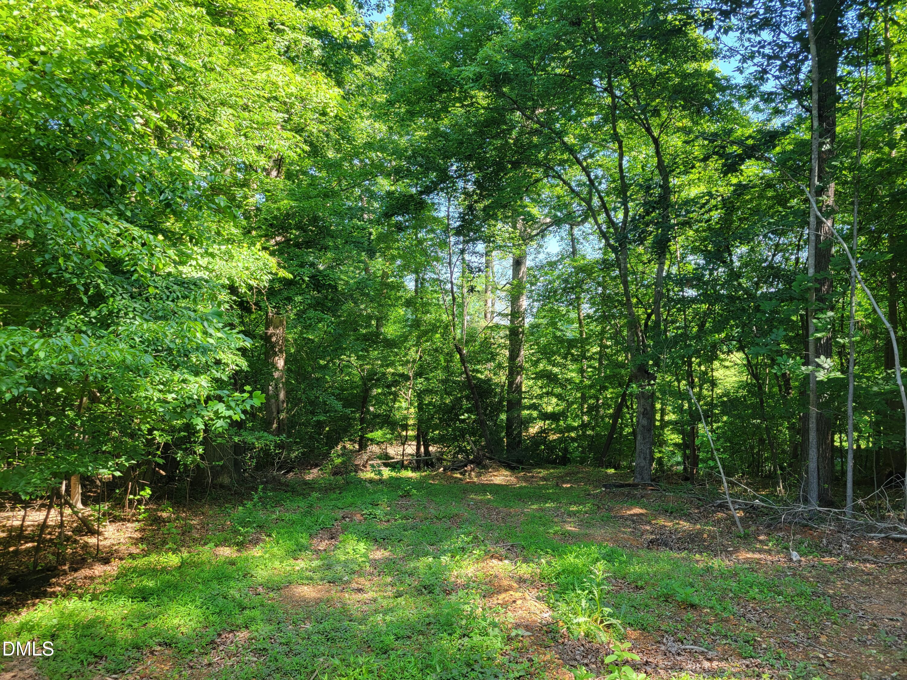 0 Hicks Farm Road Property Photo 7
