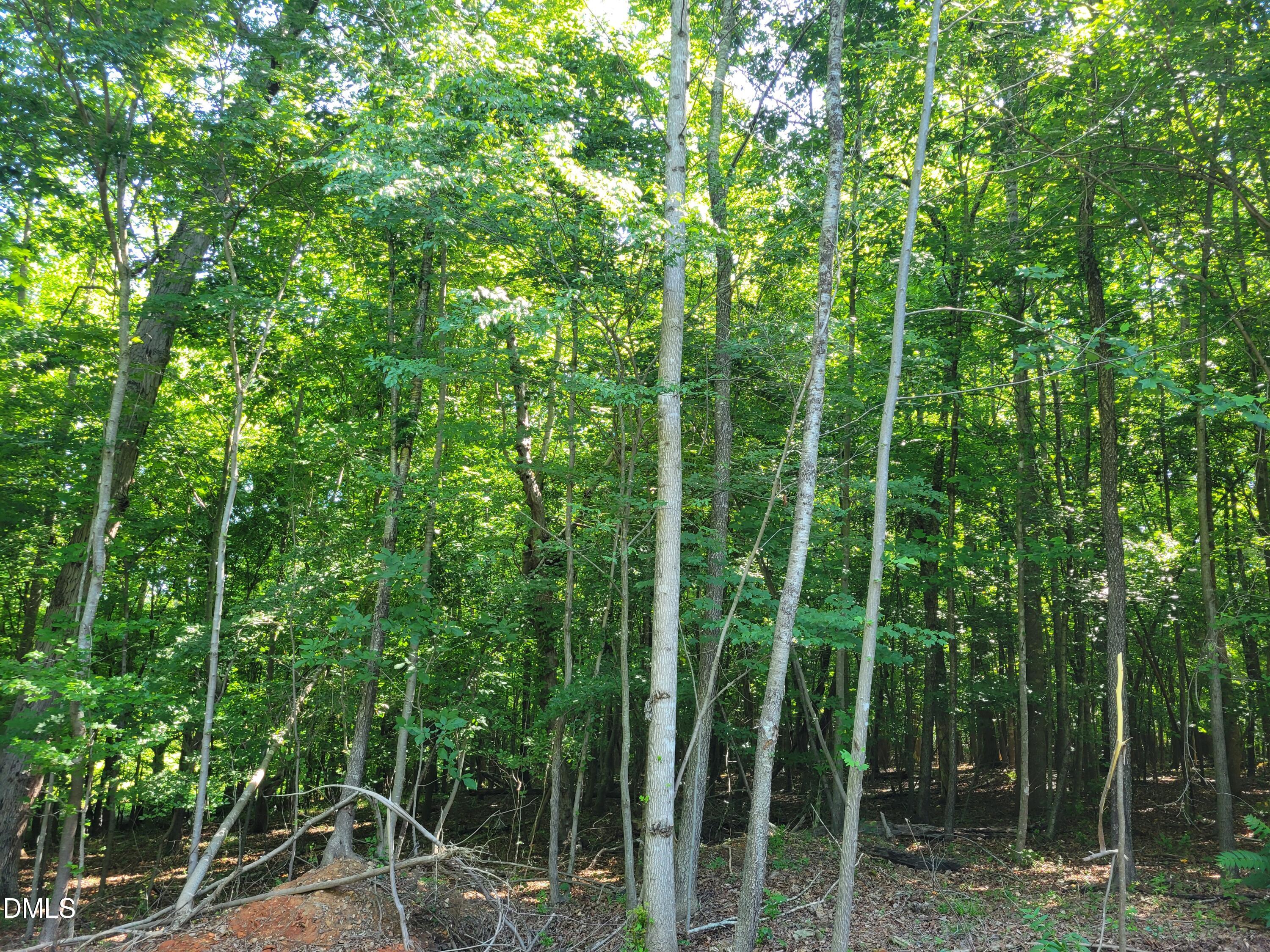 0 Hicks Farm Road Property Photo 8