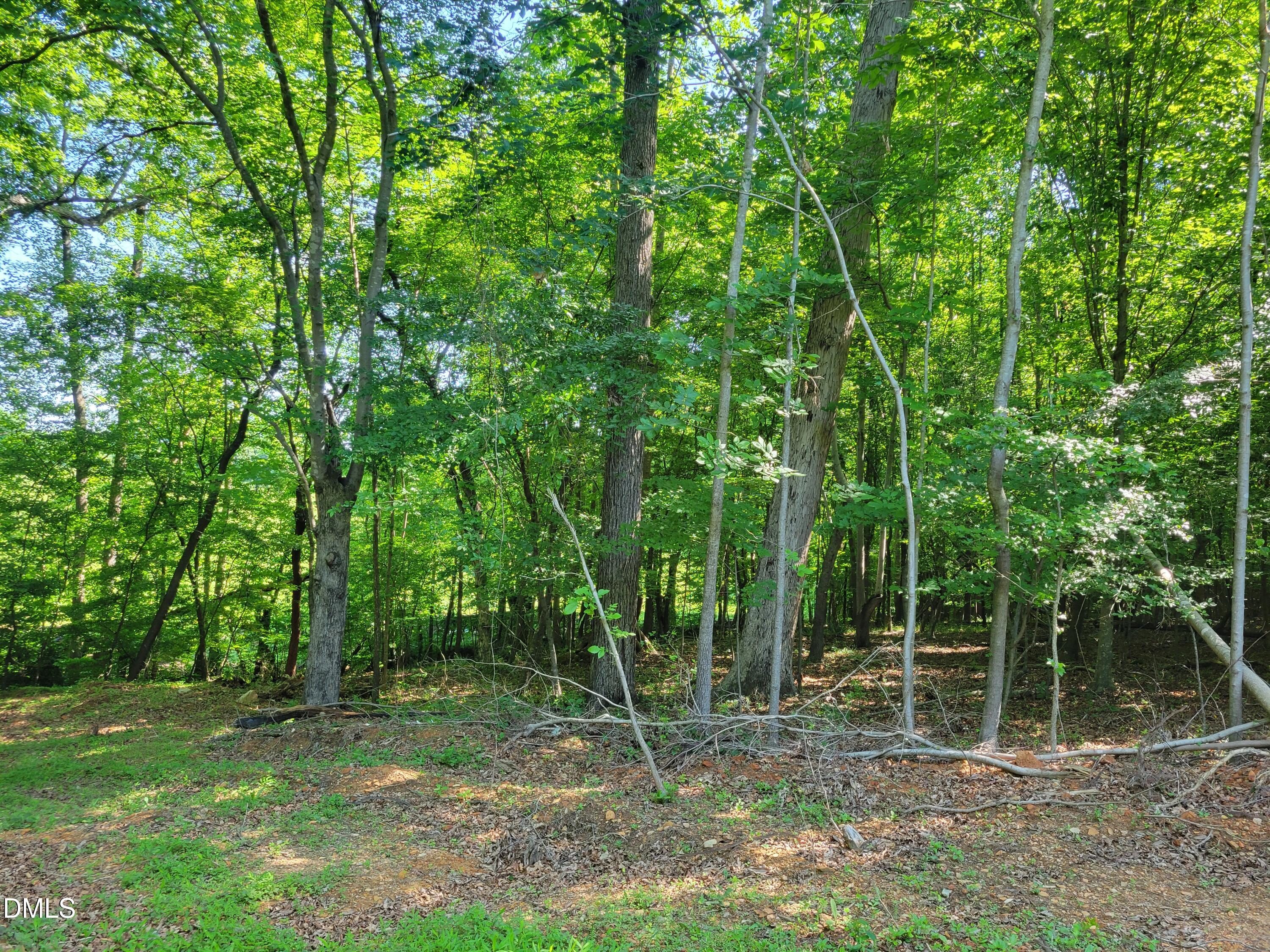 0 Hicks Farm Road Property Photo 9