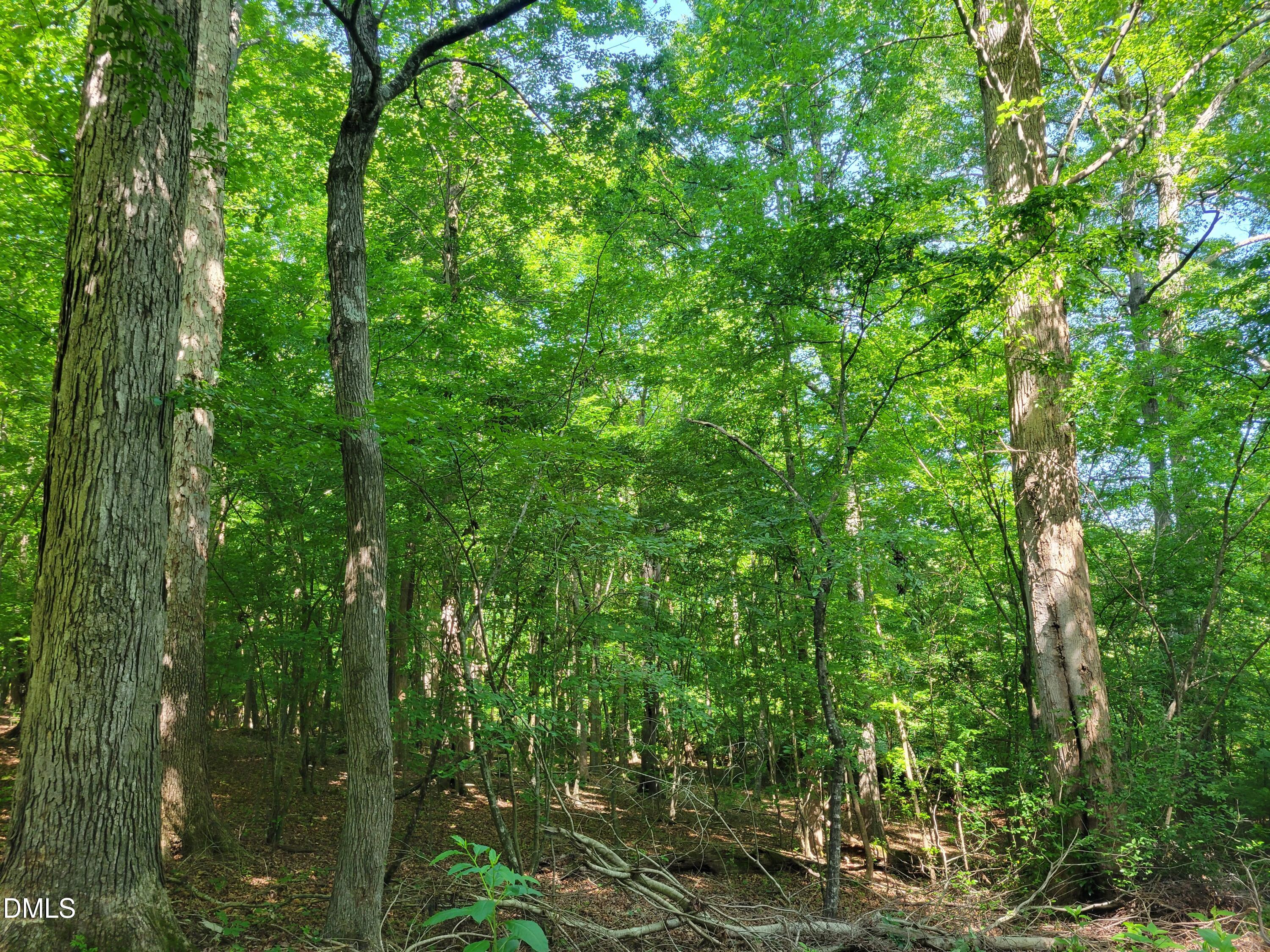 0 Hicks Farm Road Property Photo 10