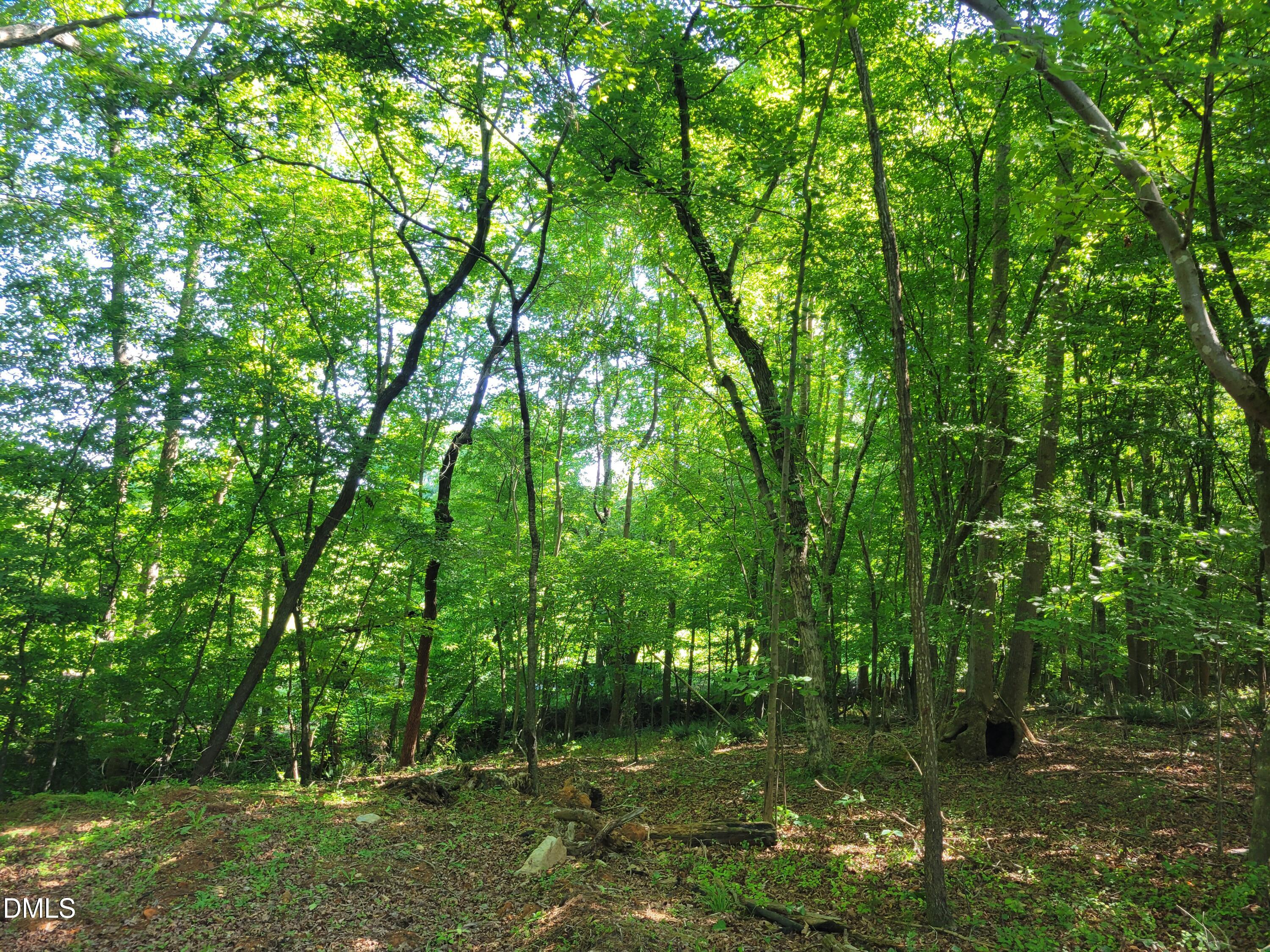 0 Hicks Farm Road Property Photo 11