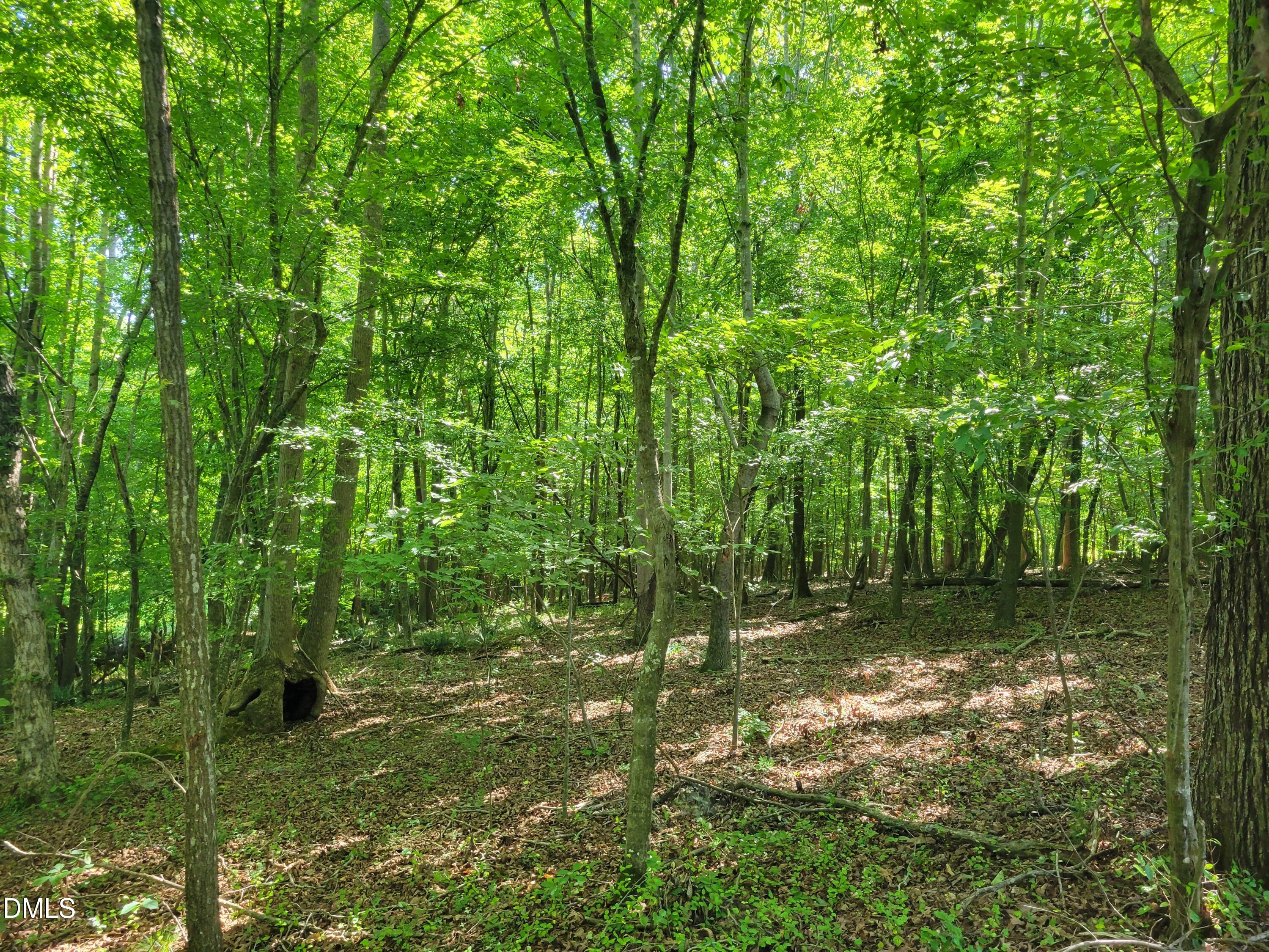 0 Hicks Farm Road Property Photo 12