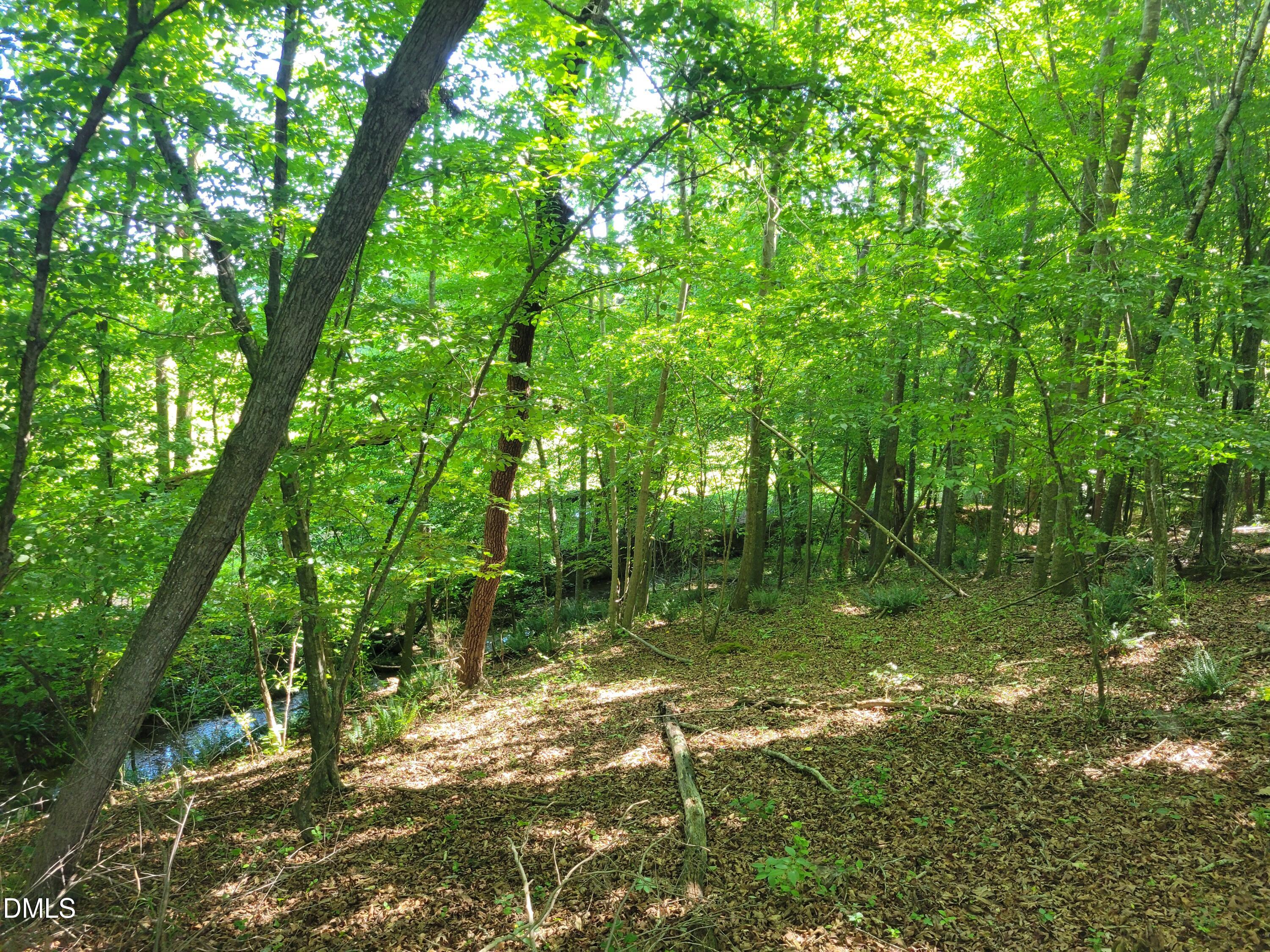 0 Hicks Farm Road Property Photo 13