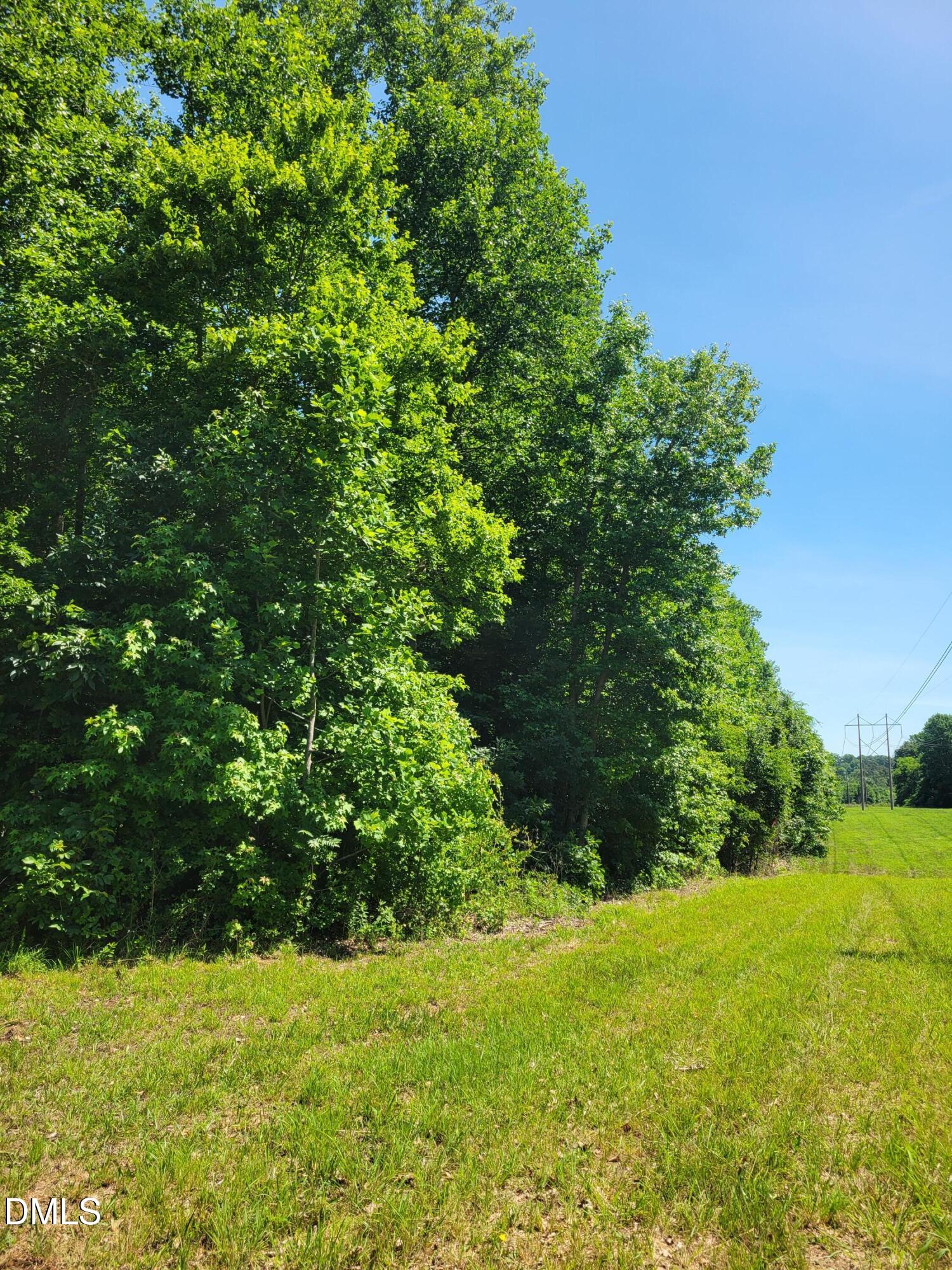 0 Hicks Farm Road Property Photo 16