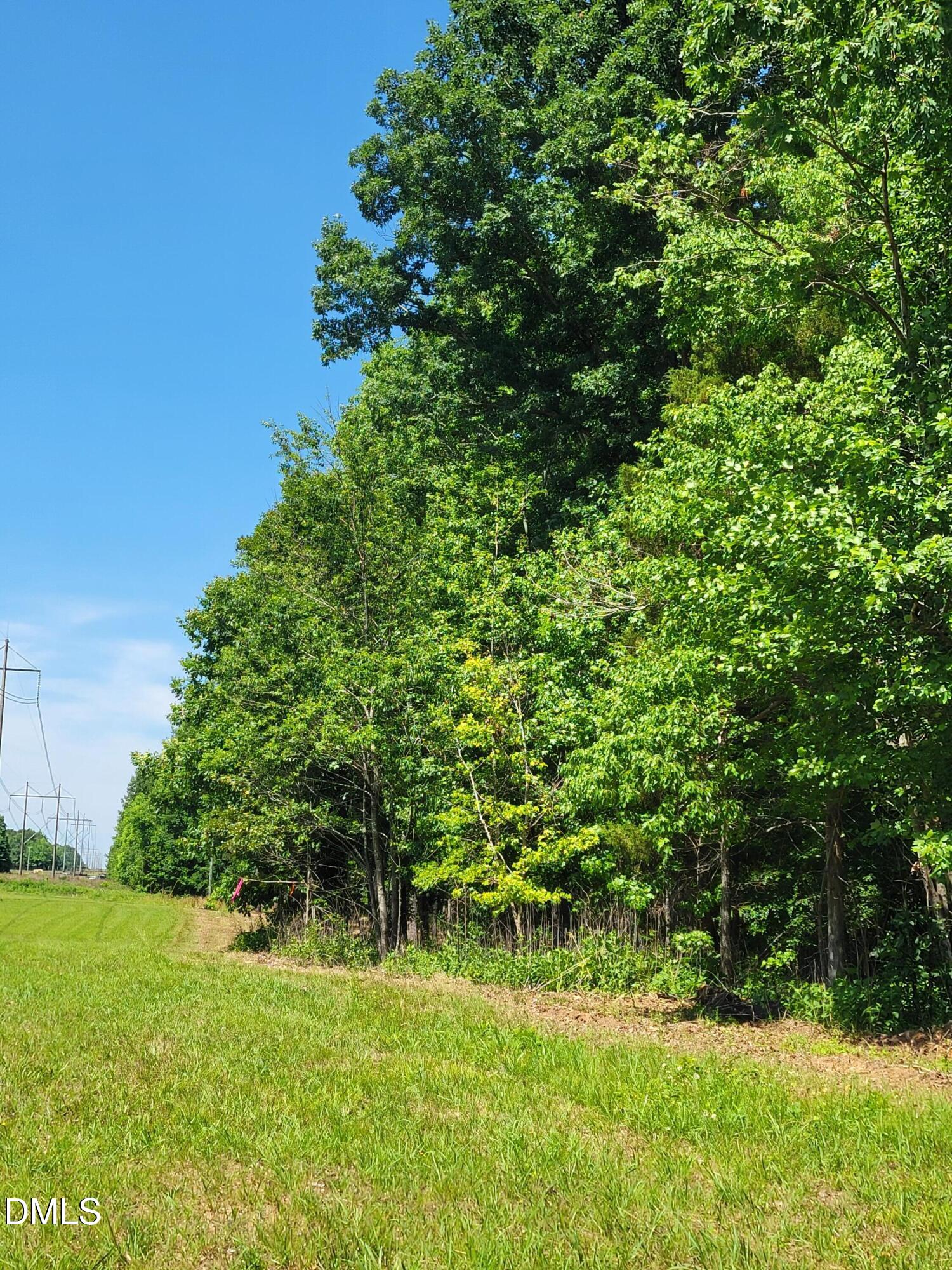 0 Hicks Farm Road Property Photo 18