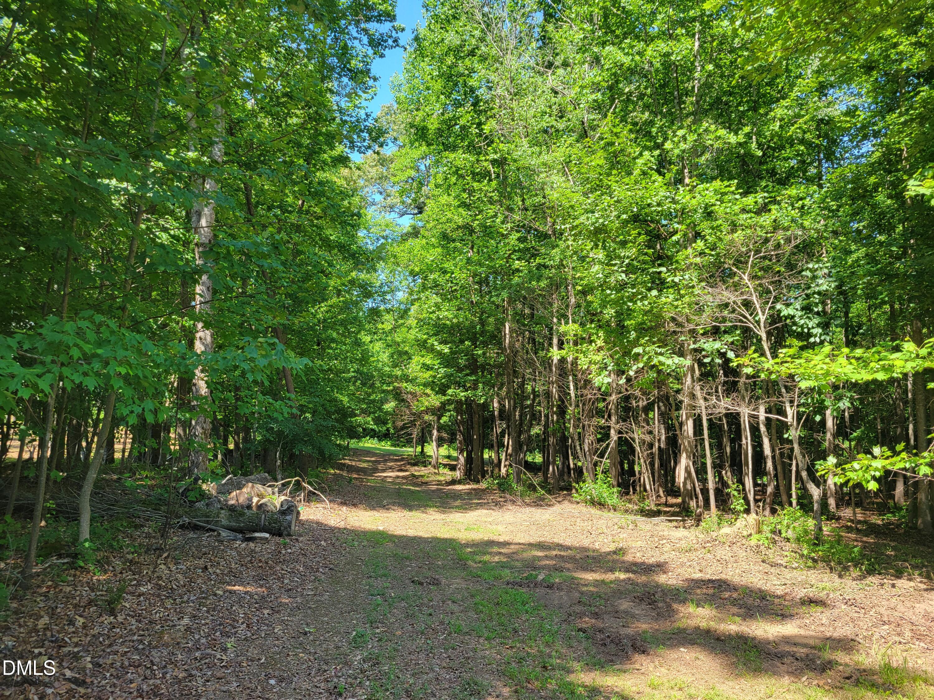 0 Hicks Farm Road Property Photo 19