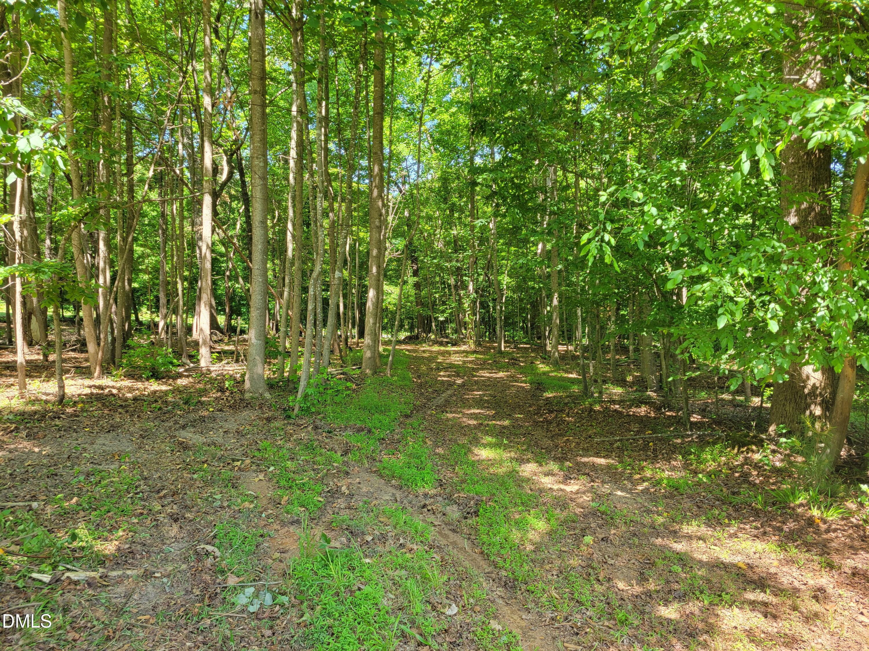 0 Hicks Farm Road Property Photo 20