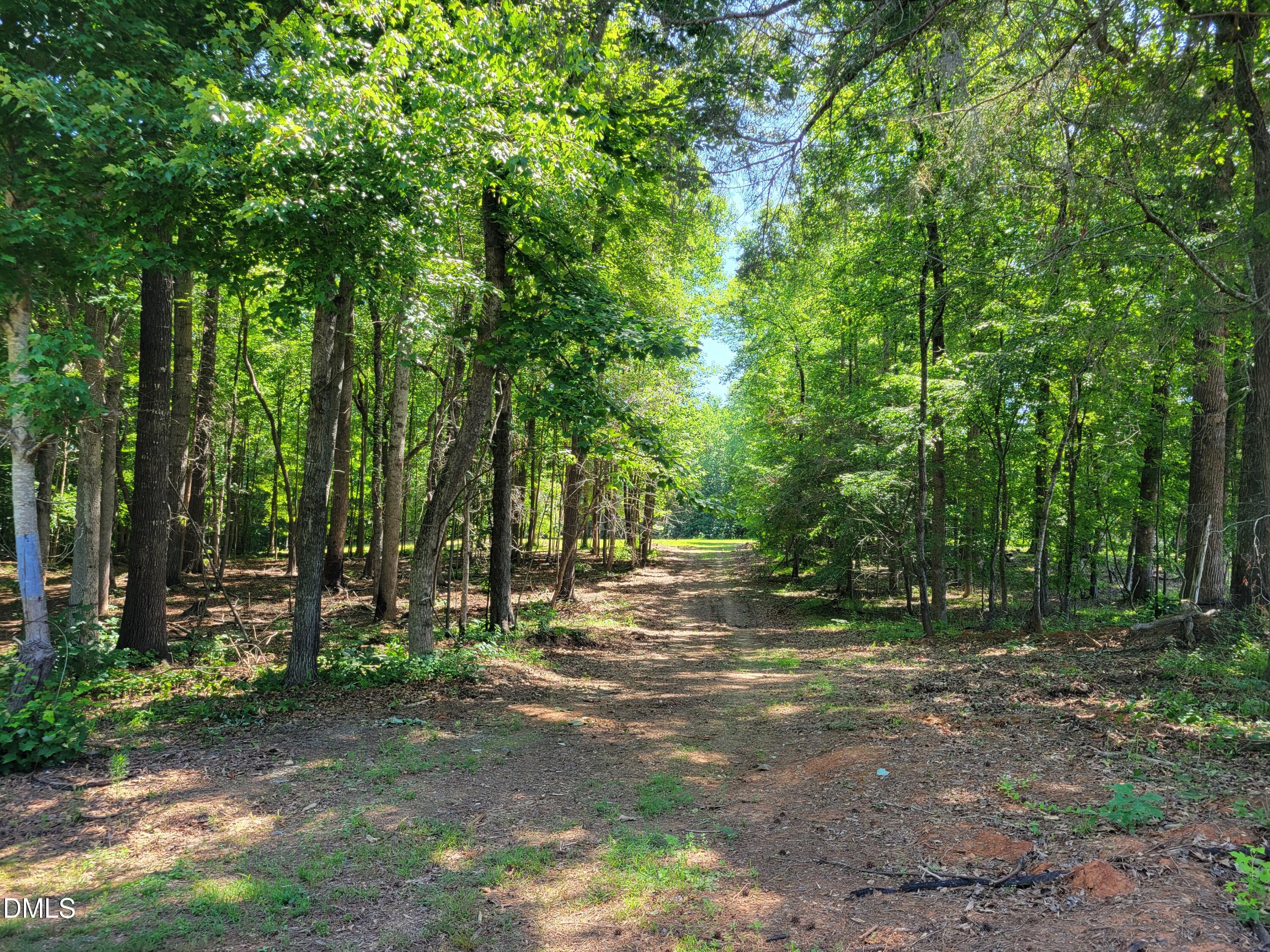 0 Hicks Farm Road Property Photo 29