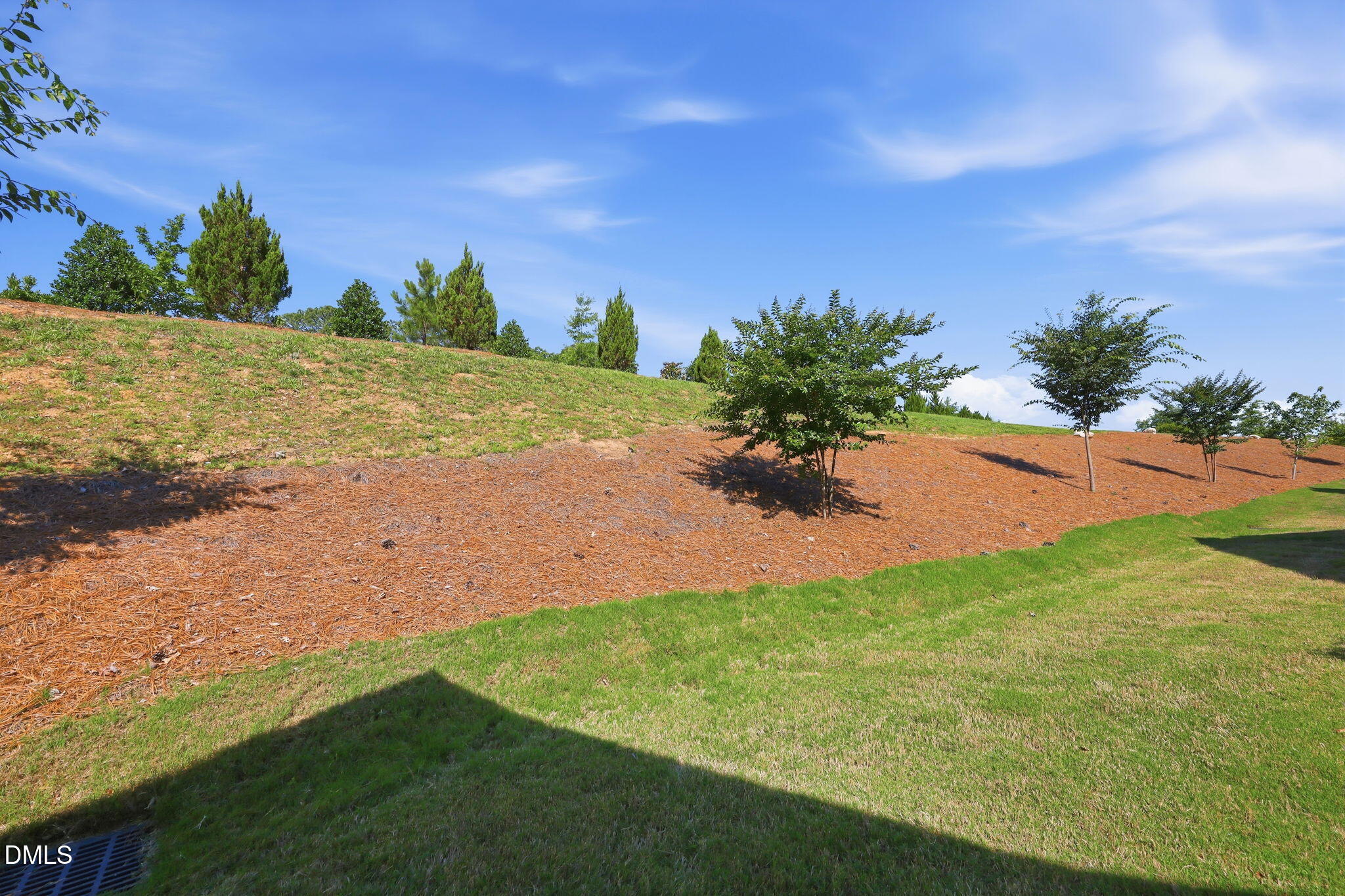 954 Market House Way Property Photo 39