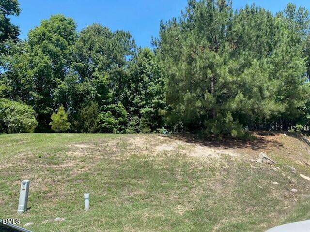 714 Bann River Court Property Photo 57