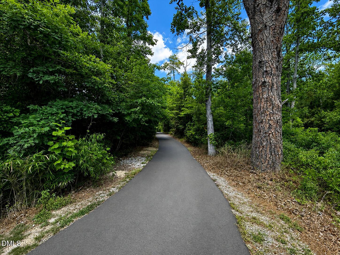 1808 Austin Ridge Parkway Property Photo 56