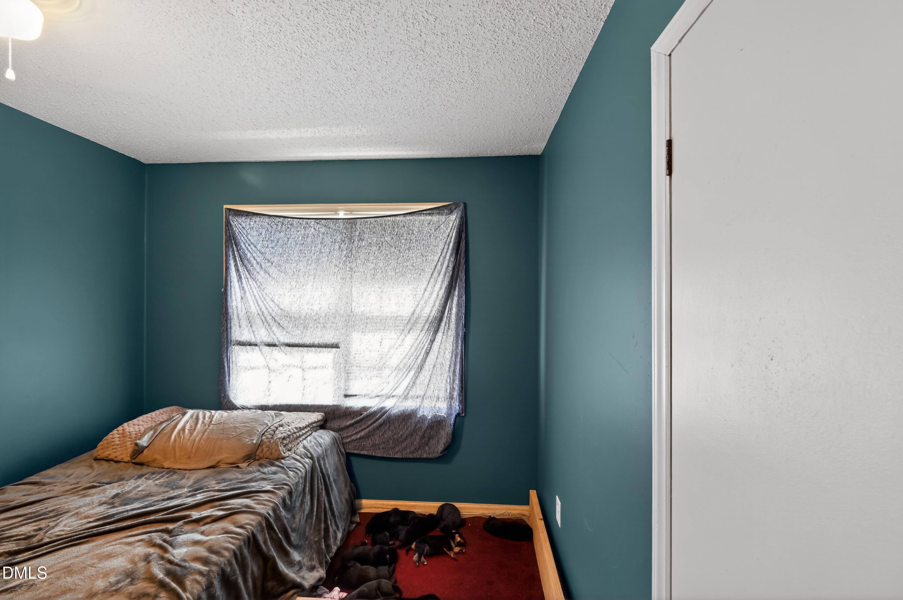 109 Snowden Street Property Photo 23