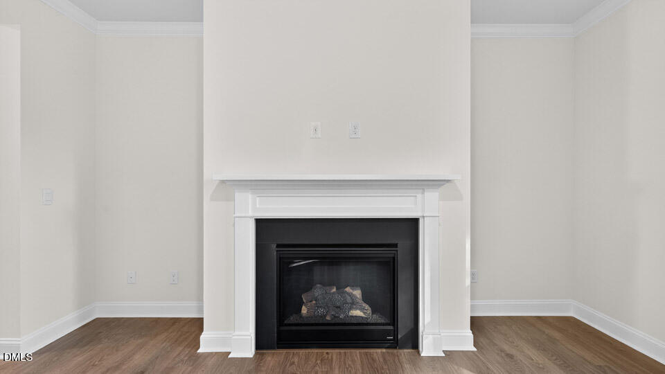 2356 Horton Park Drive Property Photo 12
