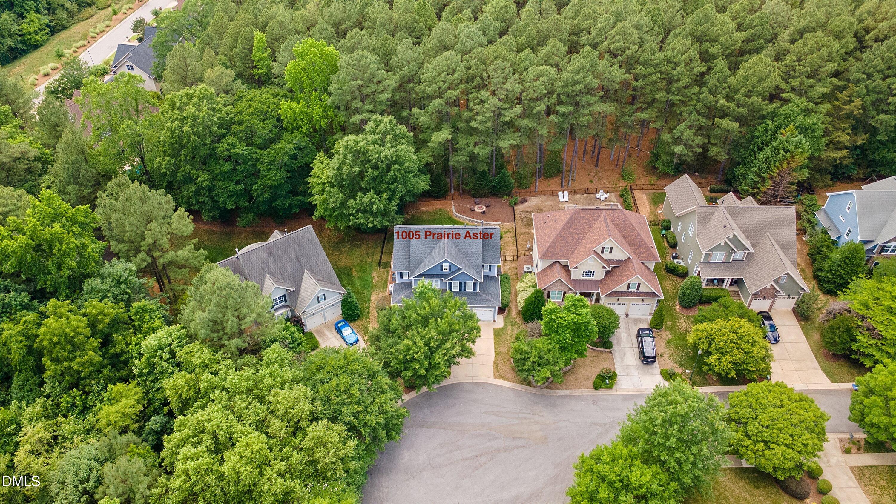 1005 Prairie Aster Court Property Photo 3