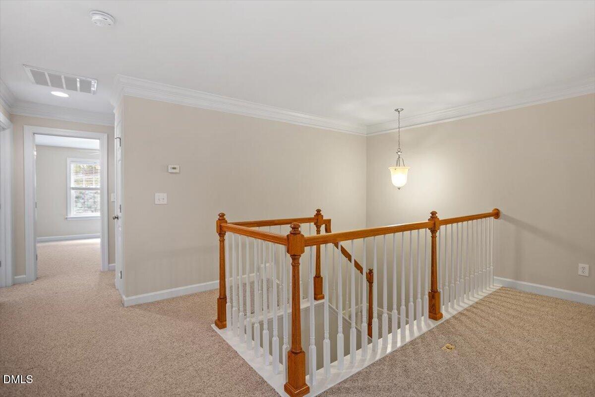 2203 Bouncy Day Court Property Photo 57