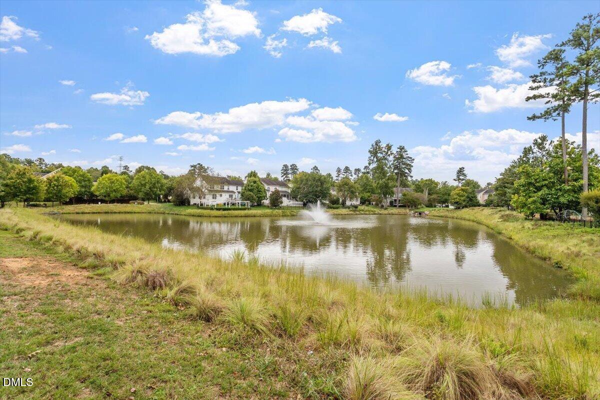 2203 Bouncy Day Court Property Photo 77