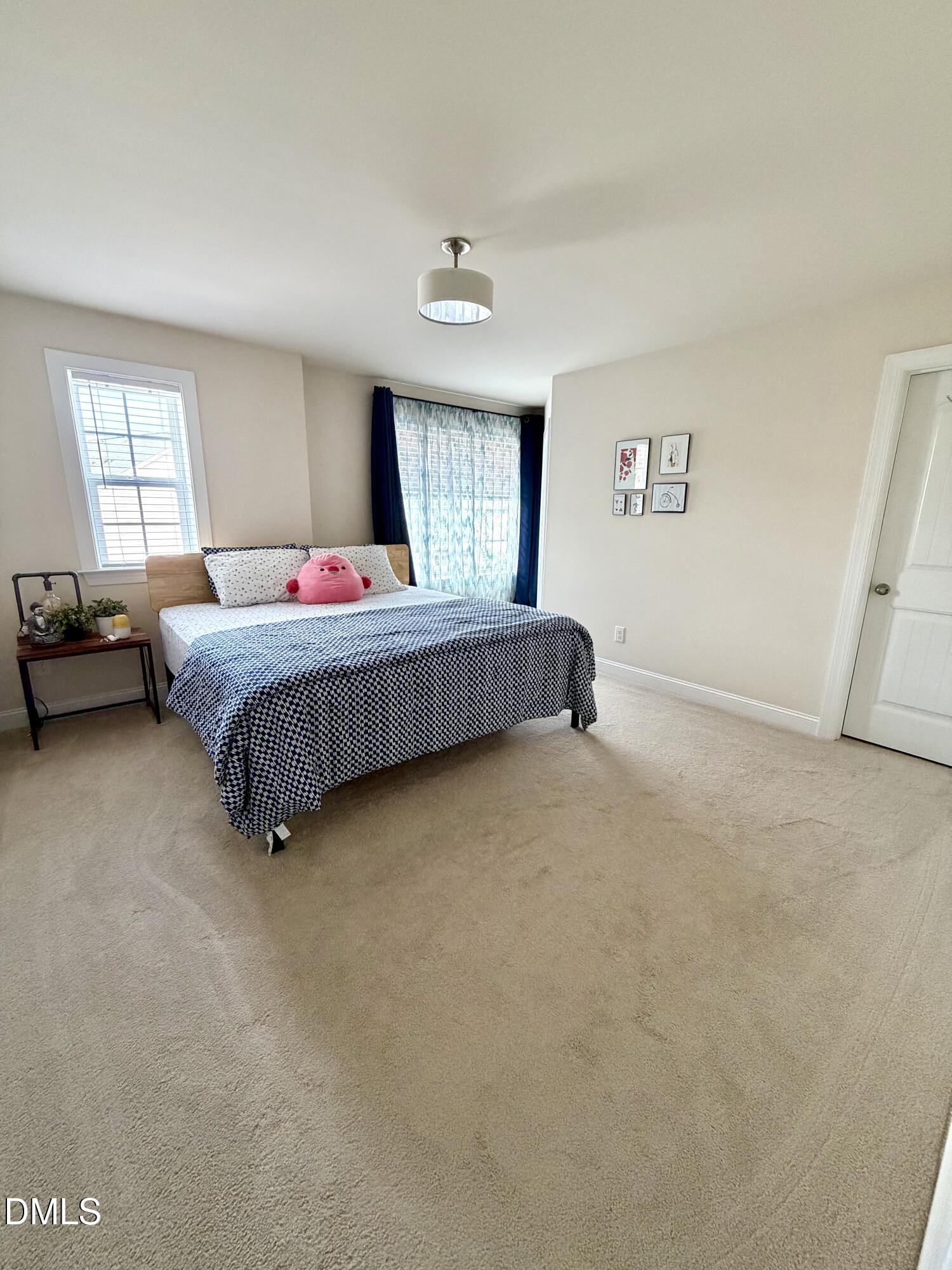 1072 Diamond Dove Lane Property Photo 15