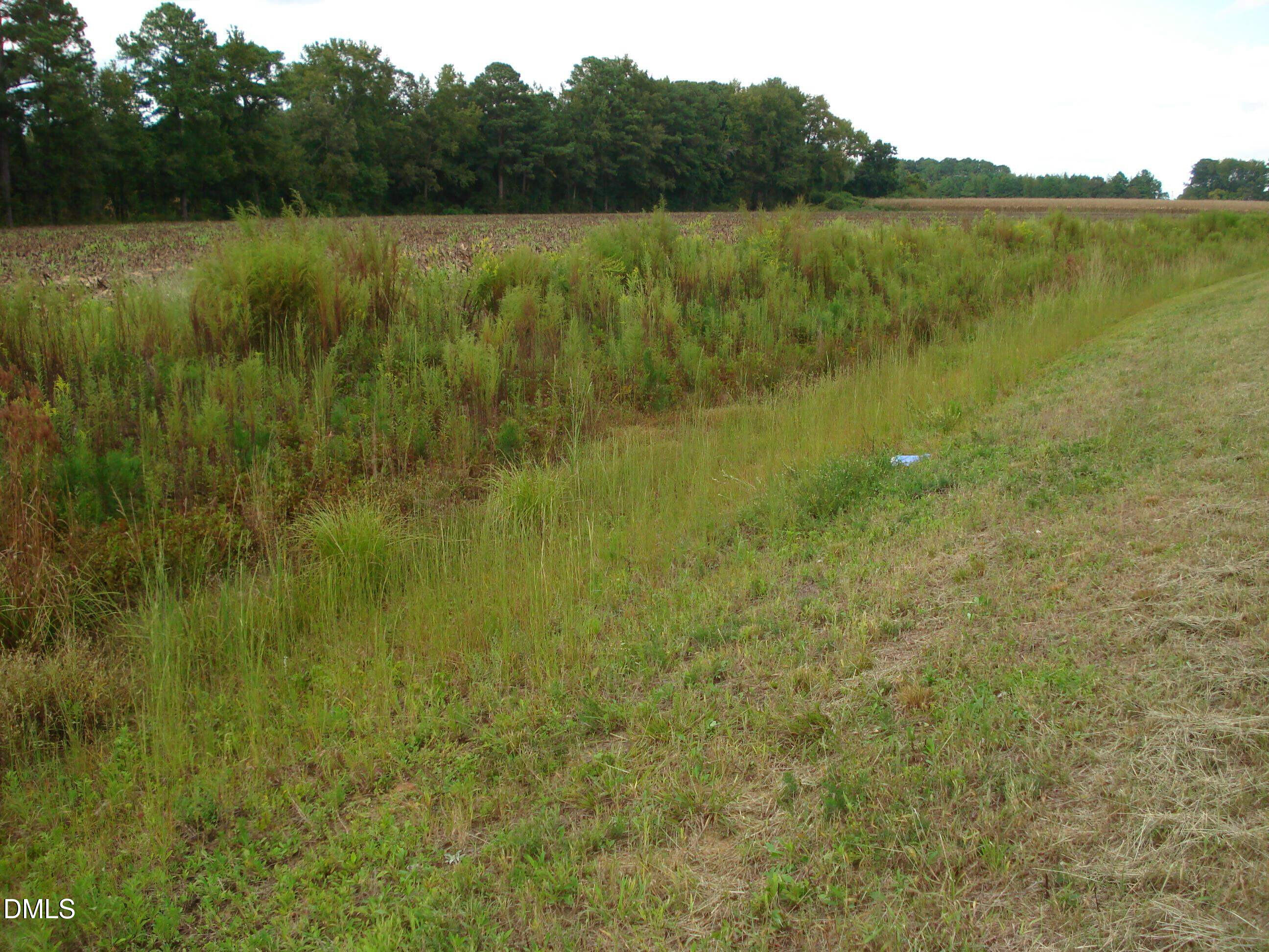 441 Long Branch Road Property Photo 29