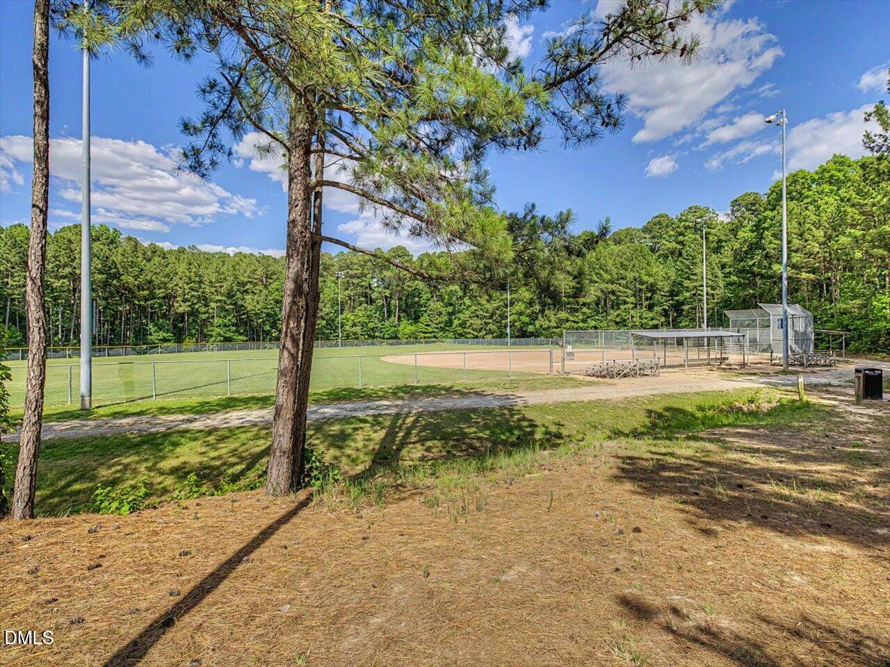 1137 Pebble Creek Crossing Property Photo 34