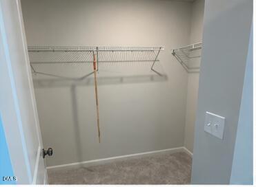 243 Paramount Drive Property Photo 10