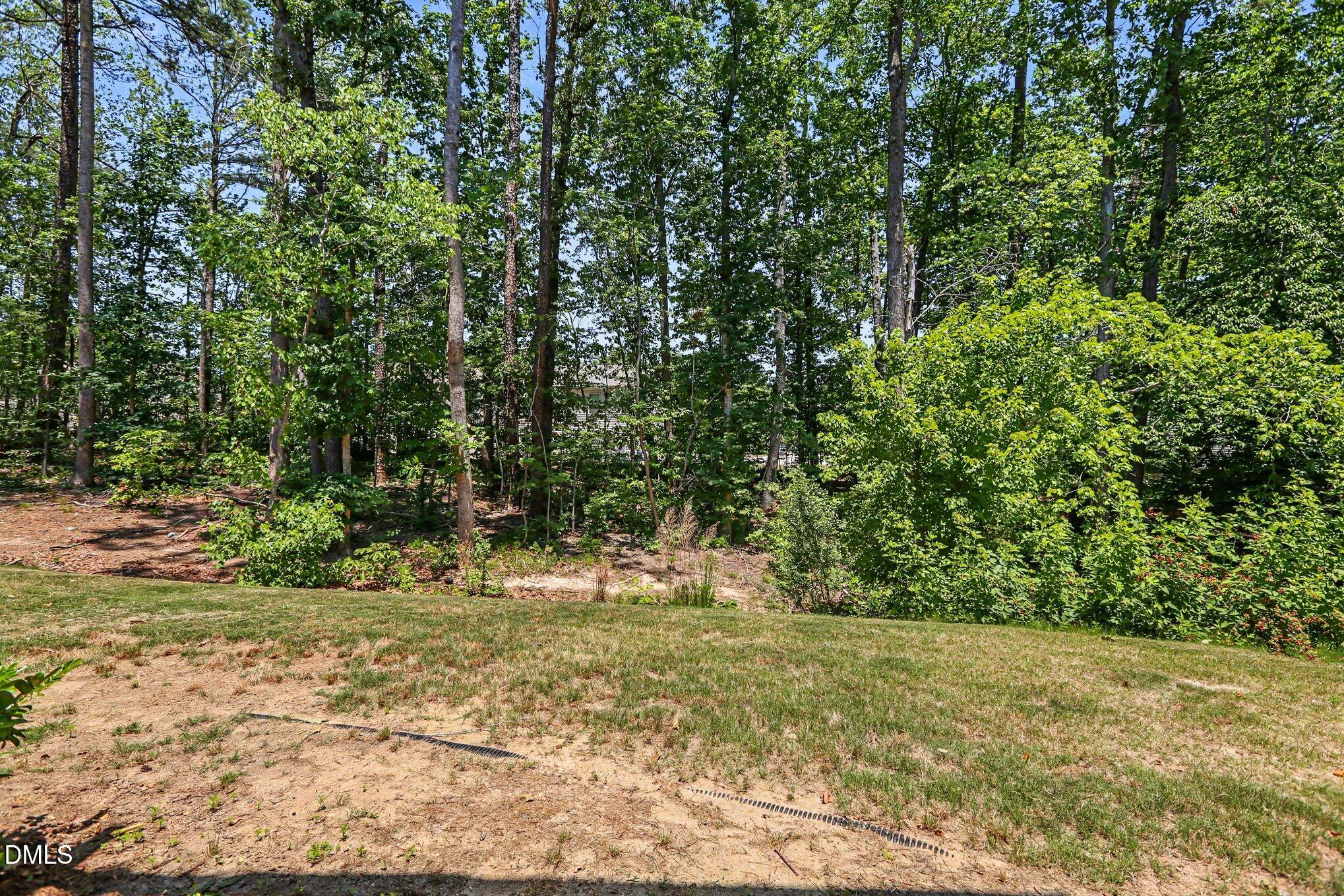 4157 Trevino Drive Property Photo 32