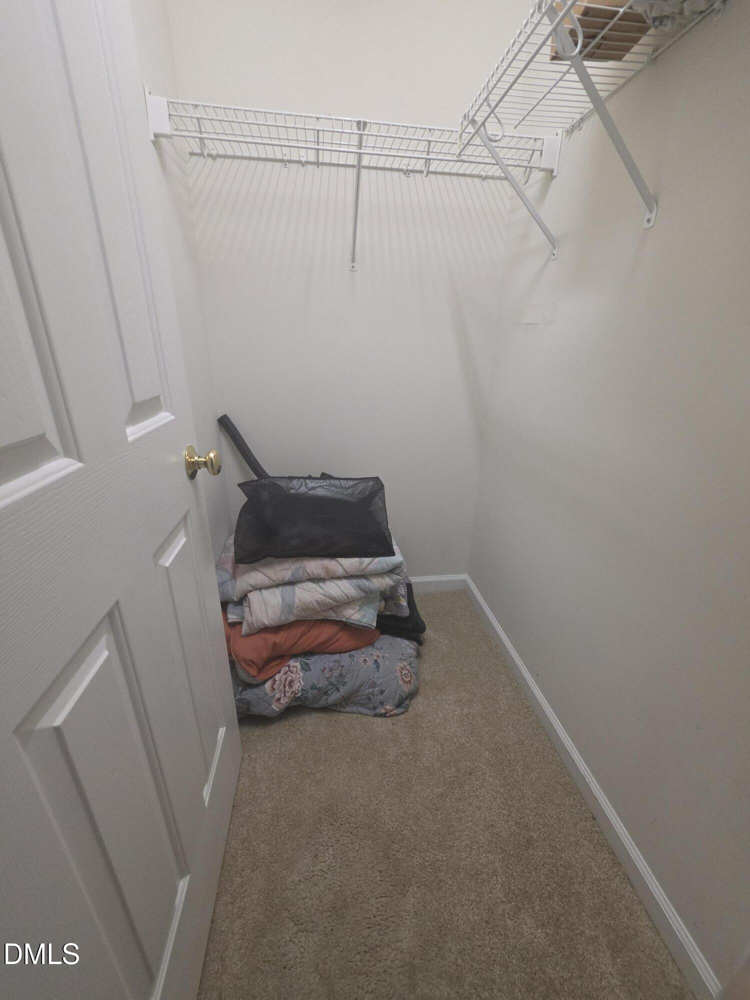 2405 Trout Stream Drive Property Photo 12
