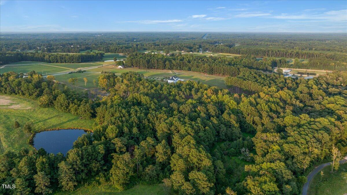 9816 Debnam Road Property Photo 8