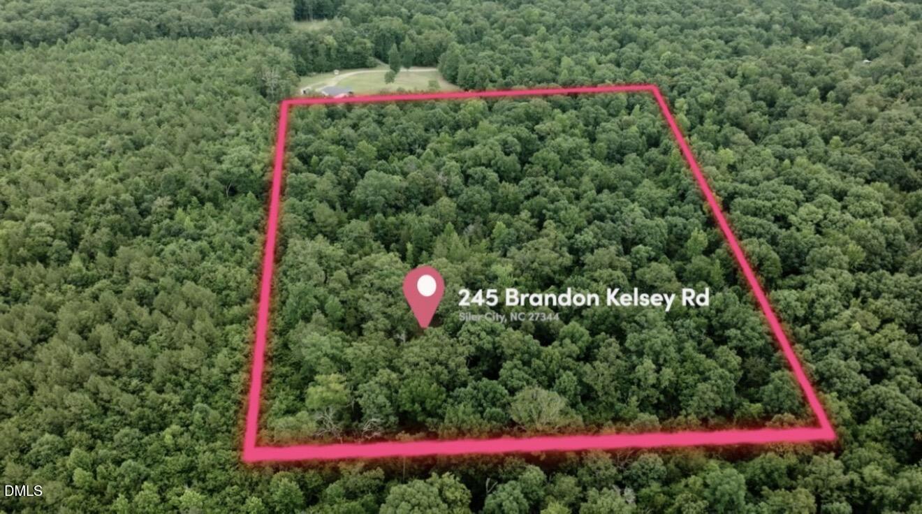 245 Brandon-kelsey Drive Property Photo 1