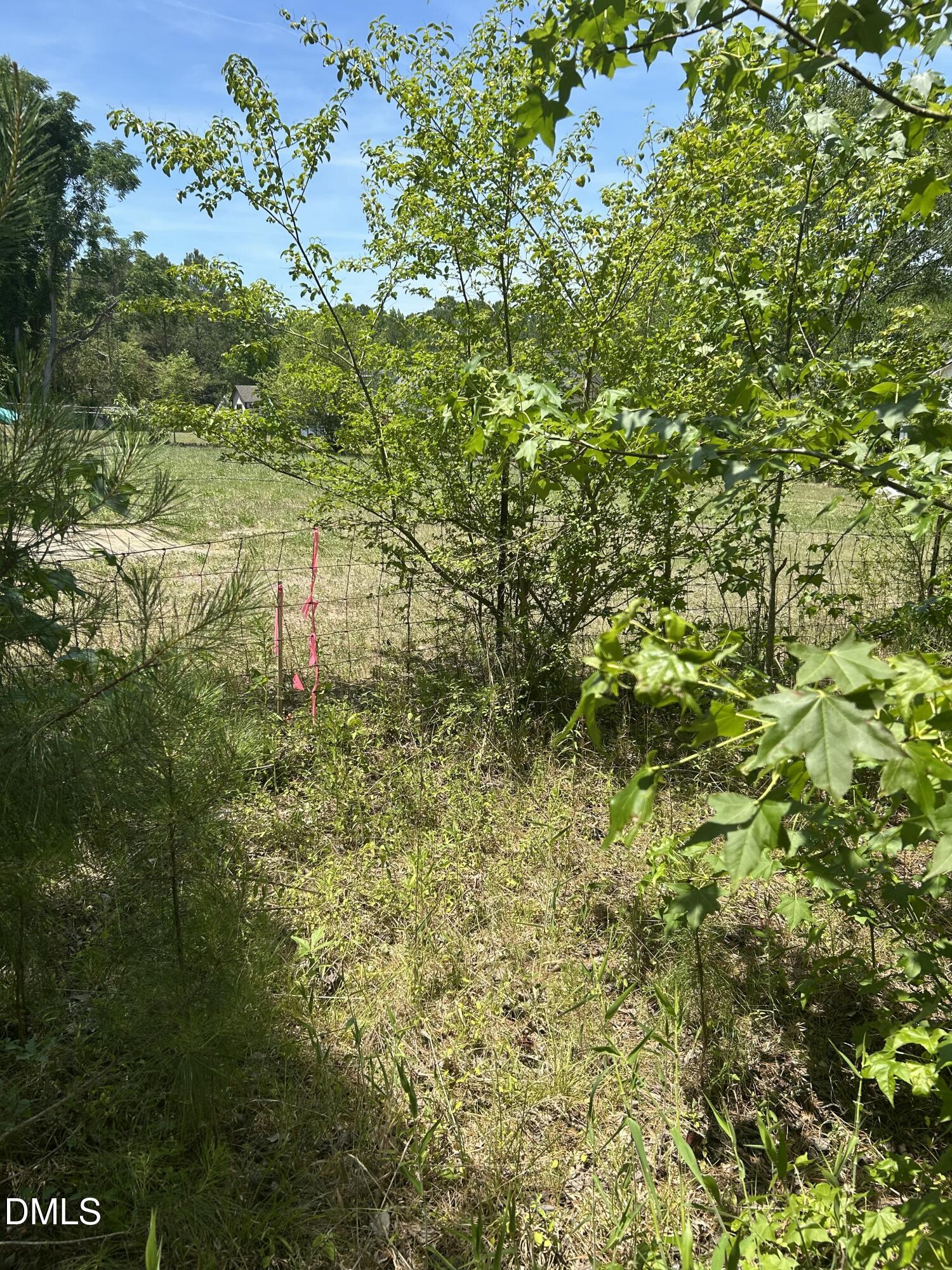 9731 Old Middlesex Road Property Photo 4