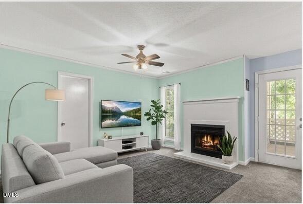 411 Gooseneck Drive A3 Property Photo 1