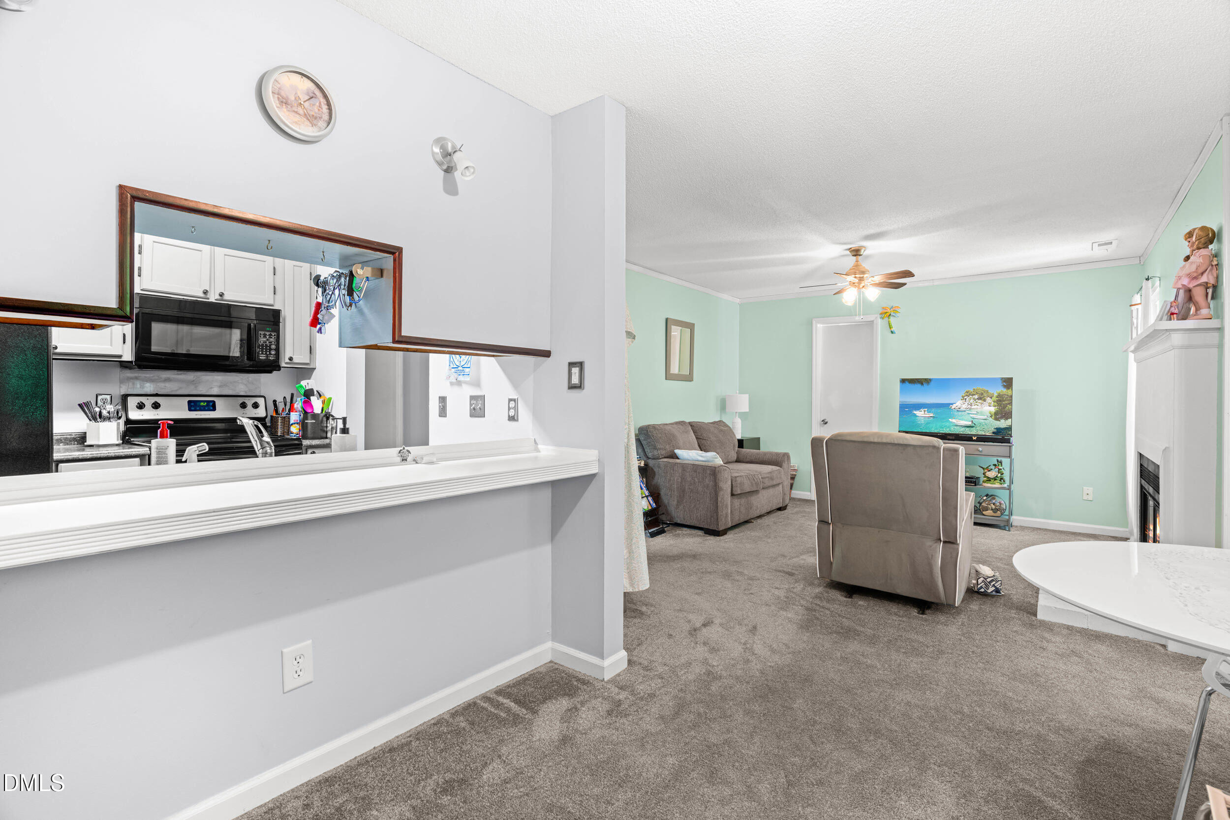 411 Gooseneck Drive A3 Property Photo 14