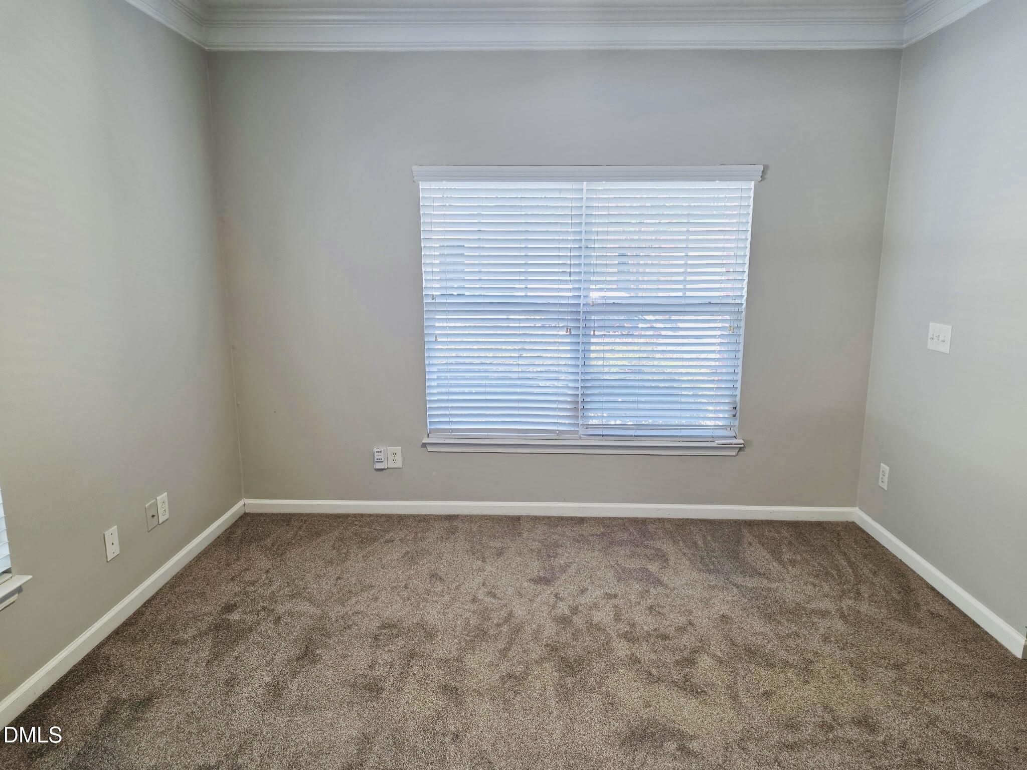 124 Braeside Court Property Photo 28
