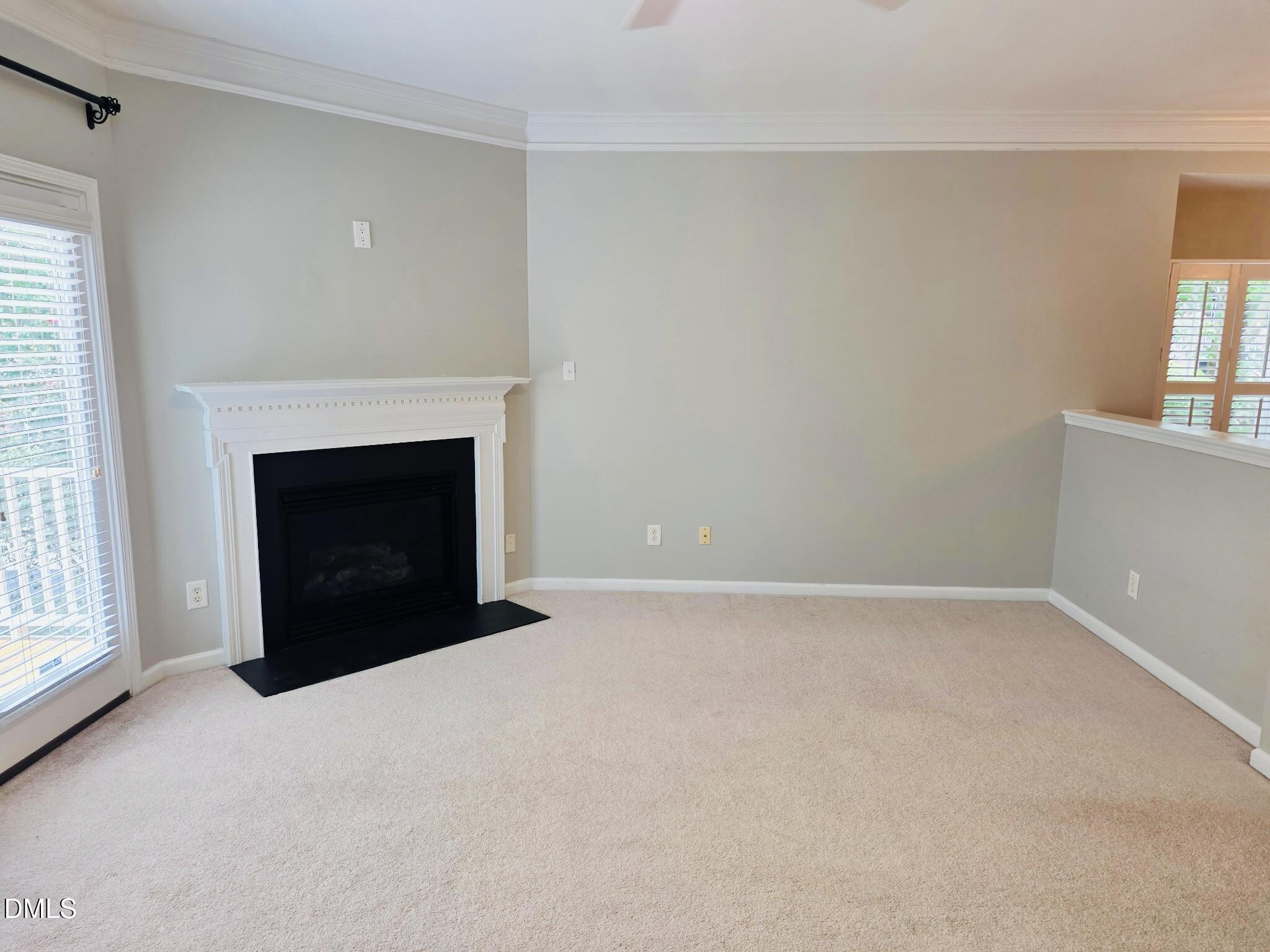124 Braeside Court Property Photo 34